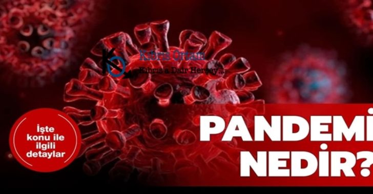 Pandemi Nedir? Geçmişte Hangi Hastalıklar İçin Pandemi İlan Edildi?