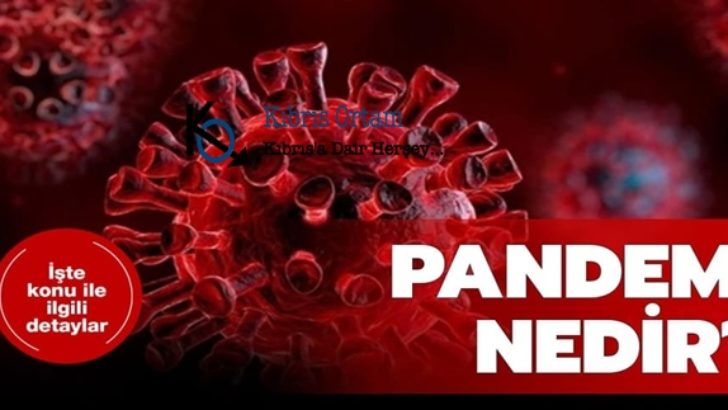 Pandemi Nedir? Geçmişte Hangi Hastalıklar İçin Pandemi İlan Edildi?